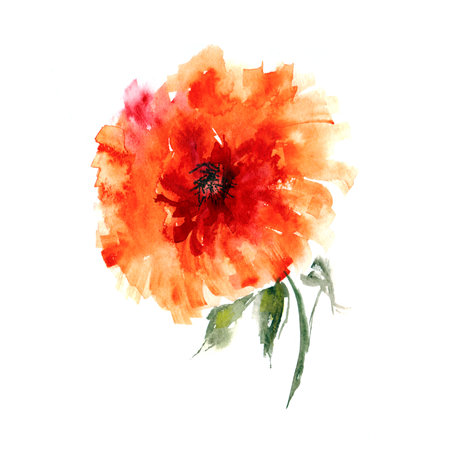 オレンジ色の花水彩画の花の装飾花の背景の誕生日カード の写真素材 画像素材 Image オレンジ色の花水彩画の花の装飾花の背景の誕生日カード の写真素材 画像素材 Image