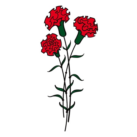 Red Carnations flower flora - 11852211