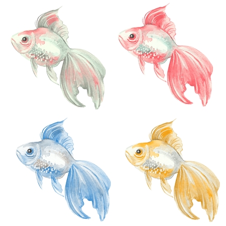 水彩の魚 手描きのイラスト 金魚 の写真素材 画像素材 Image 水彩の魚 手描きのイラスト 金魚 の写真素材 画像素材 Image