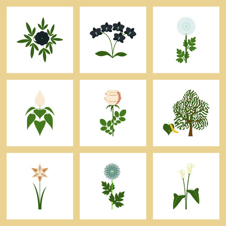 フラット イラストのアセンブリ植物花芍薬菊 Orhidaceae ローザ カラ アスター水仙リンデンのイラスト素材 ベクタ Image