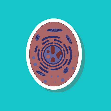 Jogo De Lógica Para Crianças. Encontre As Células Royalty Free SVG