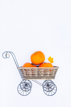 carriage basket