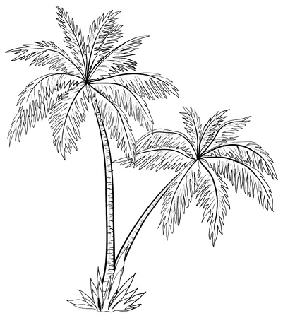ベクトル 葉 白の背景にモノクロの輪郭とヤシの木のイラスト素材 ベクタ Image 1054 ベクトル 葉 白の背景にモノクロの輪郭とヤシの木のイラスト素材 ベクタ Image 1054
