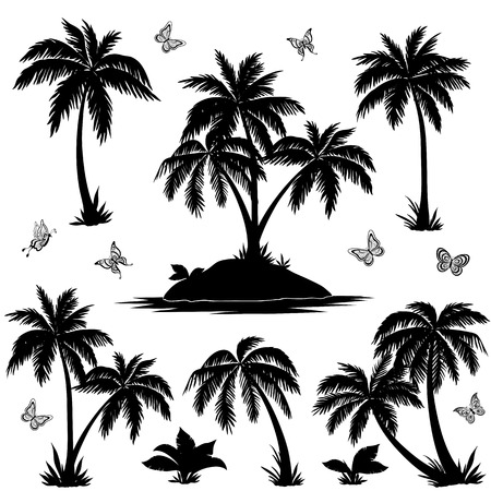 coconut: Thiết lập nhiệt đới: biển đảo với các nhà máy, cây cọ, hoa và bướm, bóng đen bị cô lập trên nền trắng. Vector