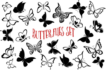 butterfly: Bố cục đặt bướm, các đường nét đơn sắc màu đen và hình bóng trên nền trắng.