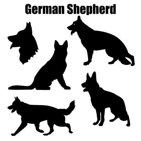 Vector illustration of german shepherd dog in different poses isolated on white background.