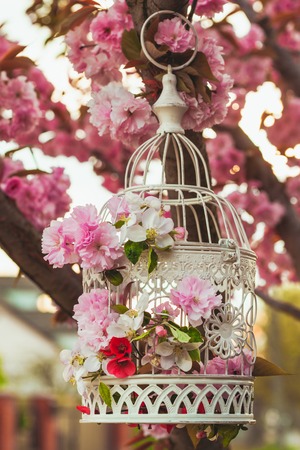 Bird Cage With Spring Blossom Of Sakura And Fruit Flowers Wedding Decorations Outdoors In The