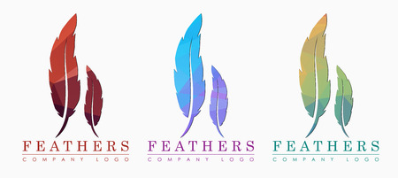 feathers template