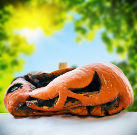Rotten pumpkin after the holiday halloween on a background of autumn leaves