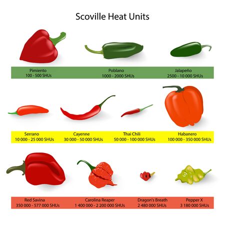Scovilleschaal van pittigheid van chilipepers, vector