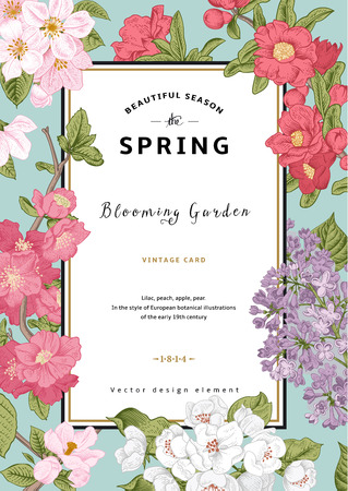 Peach flower: Vector Vintage xuân thẻ dọc. Blooming chi nhánh của tử đinh hương, đào, lê, lựu, táo trên nền bạc hà.