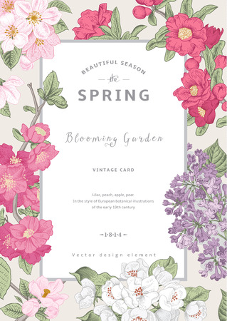 Peach flower: Vector Vintage xuân thẻ dọc. Blooming chi nhánh của tử đinh hương, đào, lê, lựu, táo trên nền màu xám. Hình minh hoạ
