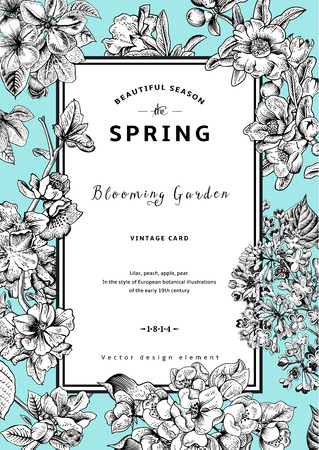Peach flower: Vector Vintage xuân thẻ dọc. Chi nhánh nở màu đen và màu trắng của hoa tử đinh hương, đào, lê, lựu, táo trên nền bạc hà. Hình minh hoạ