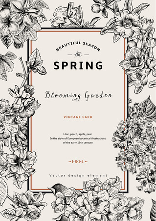 Peach flower: Vector Vintage xuân thẻ dọc. Chi nhánh nở màu đen và màu trắng của hoa tử đinh hương, đào, lê, lựu, cây táo. Hình minh hoạ