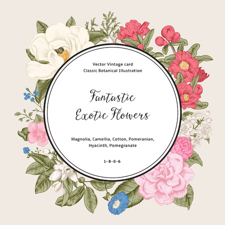 ビンテージ カード ボタニカル イラスト 熱帯の花と葉 のイラスト素材 ベクタ Image ビンテージ カード ボタニカル イラスト 熱帯の花と葉 のイラスト素材 ベクタ Image