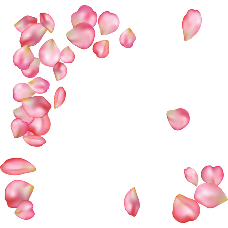 spring flower petals blossoms blank background template royalty spring flower template