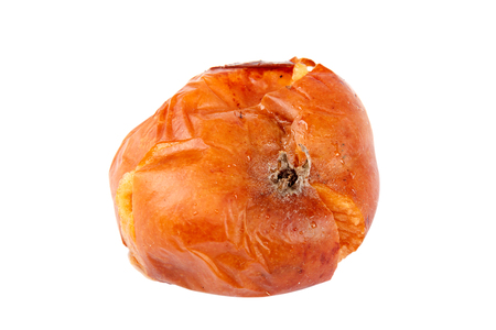 Fruits of apple with rot isolated on white background.
