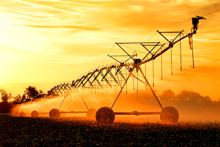 Agricultural irrigation center pivot waterwheel overhead sprinkler pipe trusses assembly with wheeled tower spraying water over growing crop in a field before sunset Фото со стока
