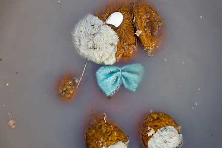 汚い水で捨て犬の人形 自然災害の概念 の写真素材 画像素材 Image