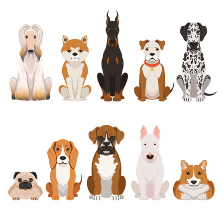 面白い犬イラスト漫画のスタイルで 国内のペット のイラスト素材 ベクタ Image 面白い犬イラスト漫画のスタイルで 国内のペット のイラスト素材 ベクタ Image