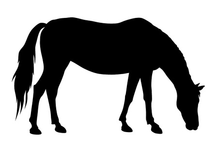 Vector illustration of feeding horse silhouette