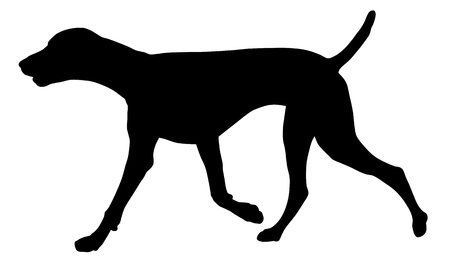 2 149 Pointer Dog Stock Vector Illustration And Royalty Free