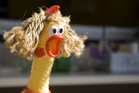 A rubber chicken has been given some hair, adding to the expression of surprise/shock on it. could be used for unbelievable 'sale' etc. Stock Photo