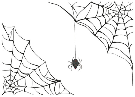 22 013 spider web stock vector illustration and royalty free spider web clipart
