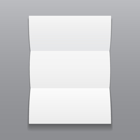 Blank Trifold Paper Brochure With Shadows On Gray Background