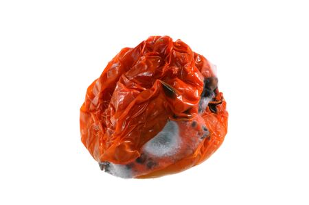 Spoiled tomato isolated on white background Stock Photo