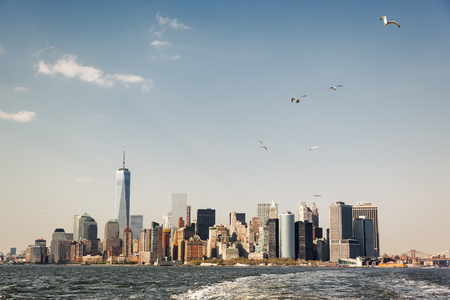 Seagulls over manhattan new york city skyline panorama Stock Photo