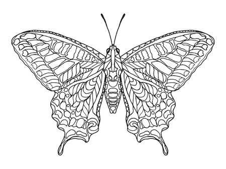 butterfly: Zentangle bướm cách điệu. Bàn tay trắng đen vẽ động vật doodle. Dân tộc theo khuôn mẫu minh hoạ vector. Châu Phi, Ấn Độ, thiết kế bộ tộc totem. Phác thảo cho trang màu, hình xăm, poster, in ấn, t-shirt