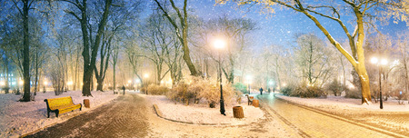 Mariinsky garden during inclement weather has its charm and Sharm glow lamps, soft snow- winding paths and roads - is a favorite place of citizens of the Ukrainian capital at all times of the year and the season