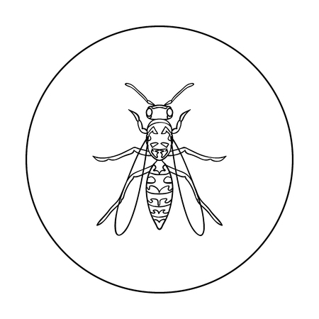 蜂蜜蜂ストライプ スズメバチ昆虫白い背景ベクトル イラストをリアルに再現のイラスト素材 ベクタ Image 33847387