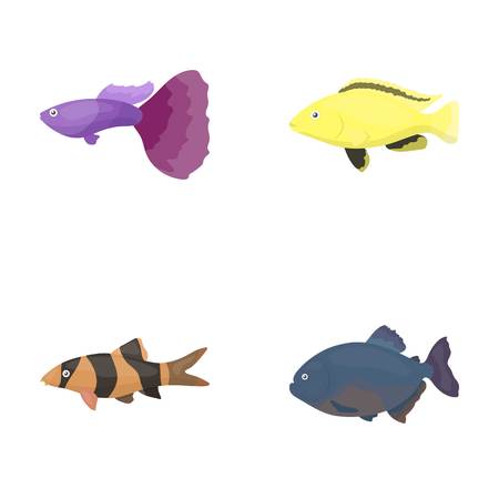 Botia ピエロ ピラニア シクリッド ハチドリ グッピー 魚はモノクロ スタイル ベクトル シンボル ストック イラスト Web コレクションのアイコンを設定します のイラスト素材 ベクタ Image