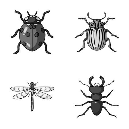 昆虫 バグ カブトムシ 足 昆虫は モノクロ スタイル ベクトル シンボル ストック イラスト Web のコレクションのアイコンを設定します の イラスト素材 ベクタ Image 昆虫 バグ カブトムシ 足 昆虫は モノクロ スタイル ベクトル シンボル ストック イラスト Web のコレクションのアイコンを設定します の イラスト素材 ベクタ Image