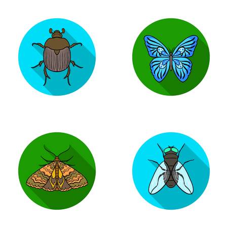 レッカー車 寄生虫 自然 蝶 昆虫は フラット スタイル ベクトル シンボル ストック イラスト Web のコレクションのアイコンを設定します のイラスト素材 ベクタ Image