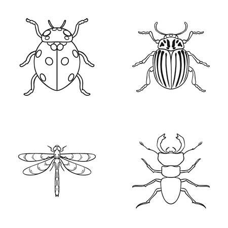 昆虫 虫 カブトムシ 足 昆虫は モノクロスタイルベクトルシンボルのストックイラストでコレクションアイコンを設定します のイラスト素材 ベクタ Image 昆虫 虫 カブトムシ 足 昆虫は モノクロスタイルベクトルシンボルのストックイラストでコレクションアイコンを設定します のイラスト素材 ベクタ Image
