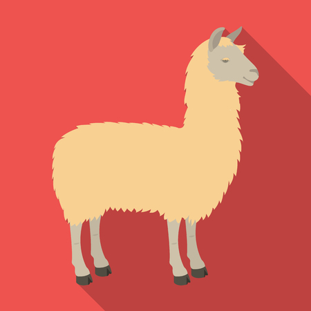 lama a south american pack animal a lame a cloven hoofed mammal