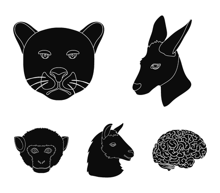カンガルー ラマ サル パンサー リアルな動物は アウトラインスタイルのベクトルシンボルストックイラストでコレクションアイコンを設定します のイラスト素材 ベクタ Image