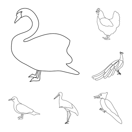 デザイン用のセットコレクション内の鳥のアウトラインアイコンの種類 ホームと野鳥ベクトルシンボルストックウェブイラスト のイラスト素材 ベクタ Image デザイン用のセットコレクション内の鳥のアウトラインアイコンの種類 ホームと野鳥ベクトルシンボルストックウェブイラスト のイラスト素材 ベクタ Image