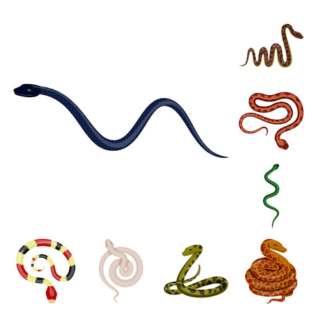 Vector illustration of poison and evil icon. set of poison and bite vector icon for stock.