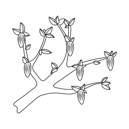 Vector design of tree and chocolate symbol. collection of tree and plantation stock symbol for web.