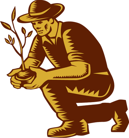 Illustration of an organic farmer wearing hat planting tree plant viewed from side on isolated white background done in retro woodcut style.