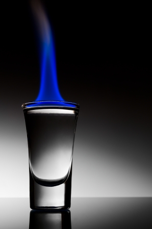 alcohol combustion alcohol combustion