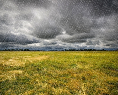 дождь: Дождь над Prairie в Бретани, Франция Фото со стока