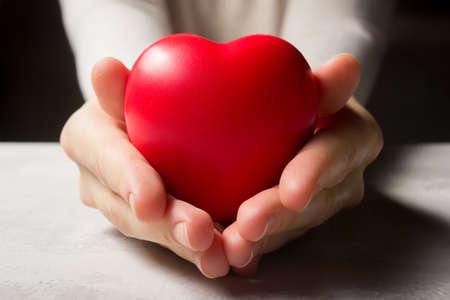 Mains de femme tenant le coeur rouge, les soins de santé, l'amour, le don d'organes, l'assurance familiale et le concept de rse. journée mondiale du cœur, journée mondiale de la santé, placement en famille d'accueil. copie espace