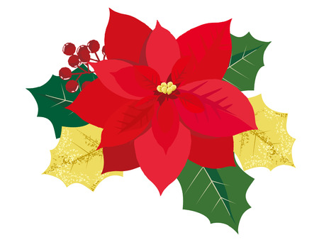 ポインセチア花とクリスマス カードのベクトル イラストのイラスト素材 ベクタ Image