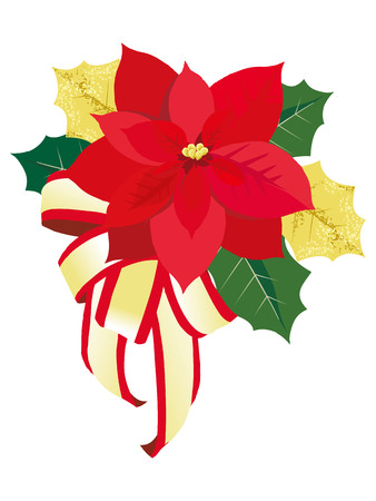ポインセチア花とクリスマス カードのベクトル イラストのイラスト素材 ベクタ Image
