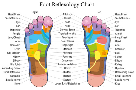 Foot Reflexology Chart Female